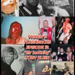 01 02 26 -fannins flashbacks episode 12 mr insanity toby klein